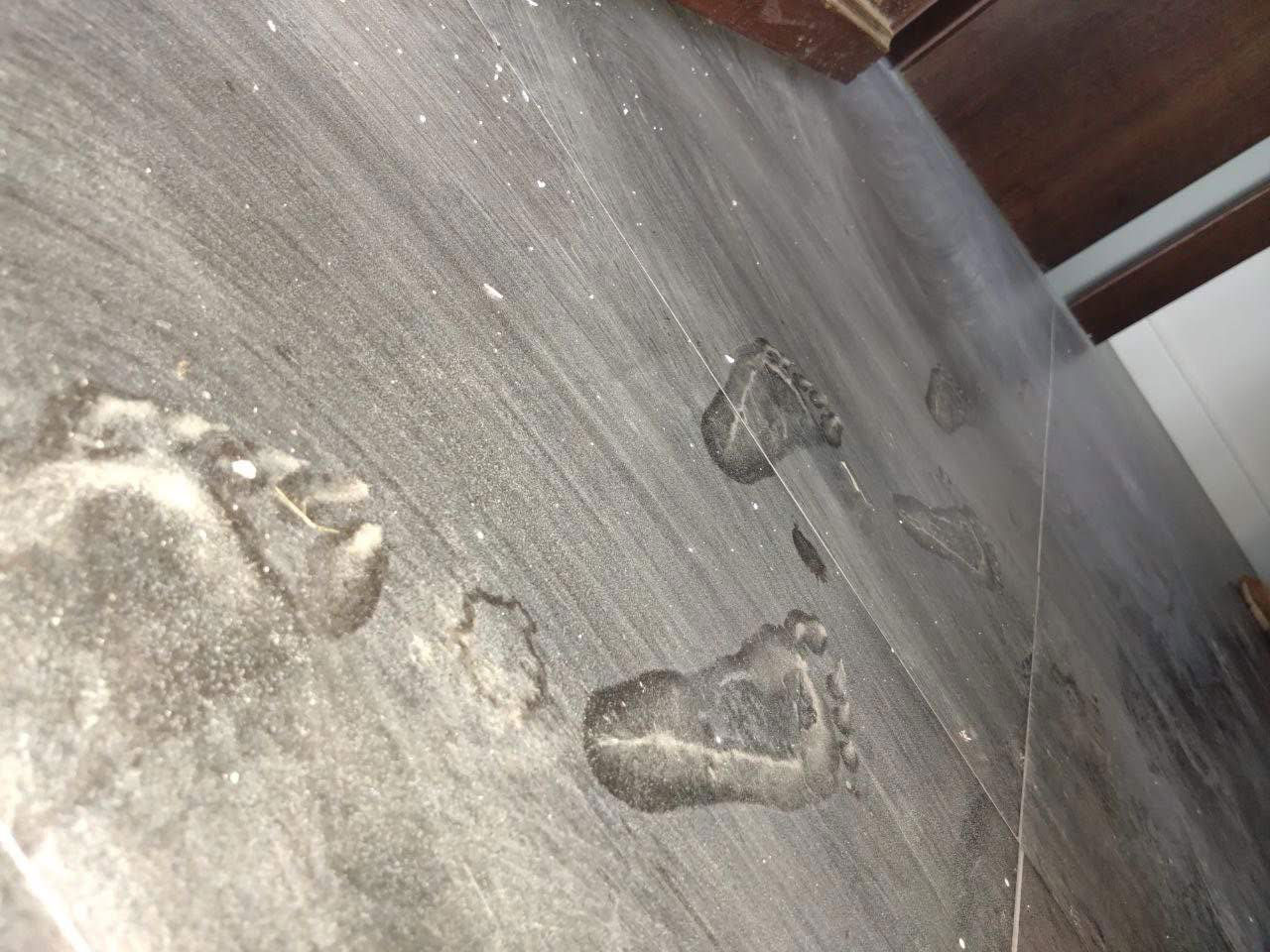 Primii pași în grădiniță